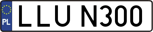 LLUN300