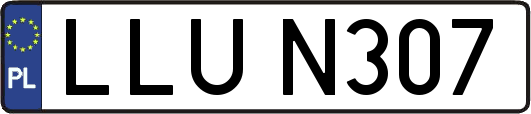 LLUN307