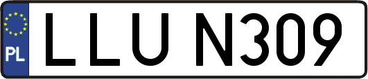 LLUN309