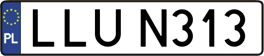 LLUN313