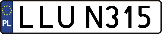 LLUN315