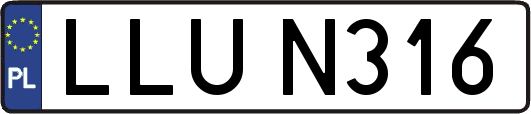 LLUN316