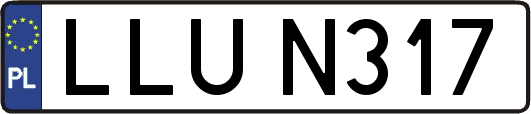 LLUN317