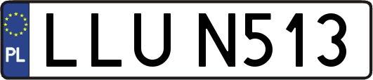 LLUN513