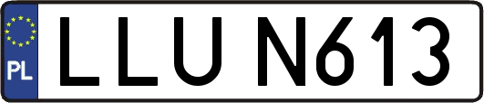 LLUN613