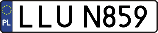 LLUN859
