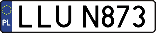 LLUN873