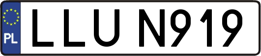 LLUN919