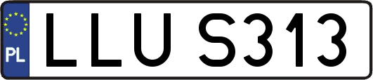 LLUS313