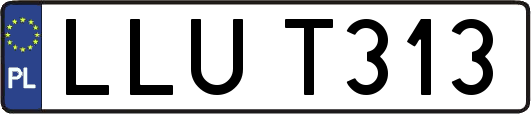 LLUT313