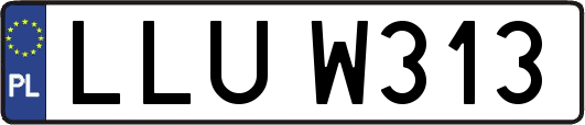 LLUW313