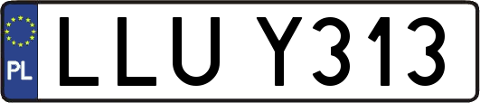 LLUY313