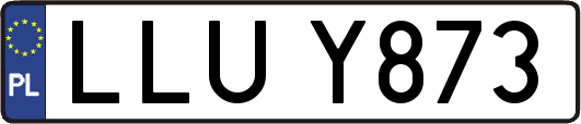 LLUY873