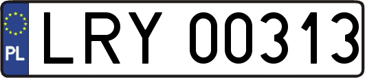 LRY00313
