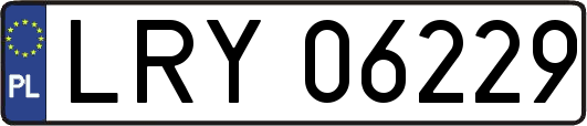 LRY06229