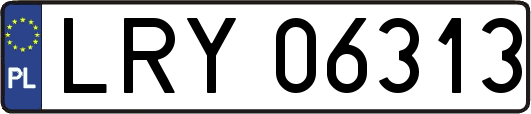 LRY06313