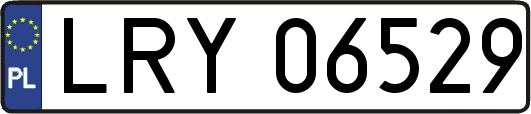 LRY06529