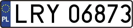 LRY06873