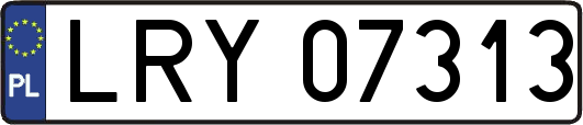 LRY07313