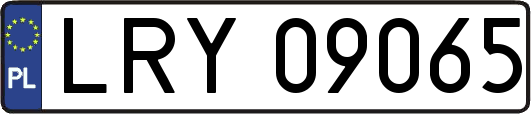 LRY09065