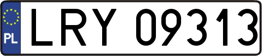 LRY09313