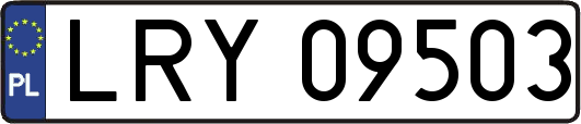 LRY09503