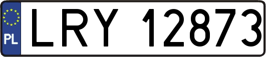 LRY12873