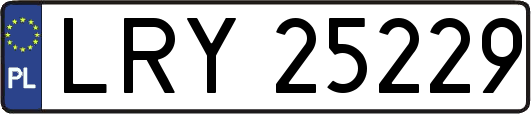LRY25229