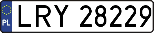 LRY28229