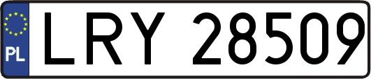 LRY28509