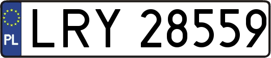 LRY28559