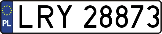 LRY28873
