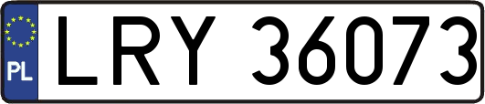 LRY36073