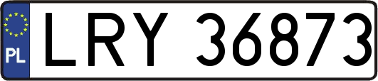 LRY36873