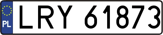 LRY61873