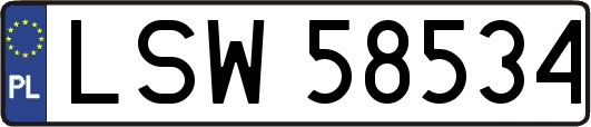 LSW58534