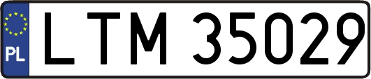 LTM35029