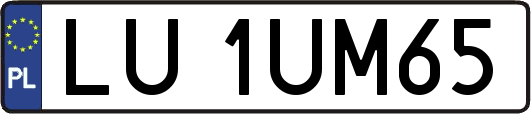 LU1UM65