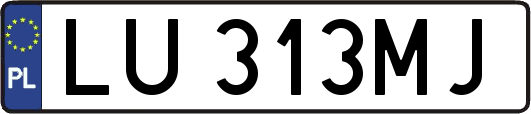 LU313MJ