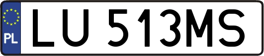 LU513MS