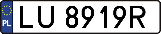 LU8919R