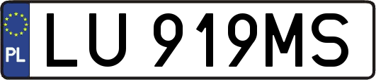 LU919MS