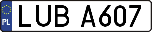 LUBA607