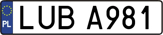 LUBA981
