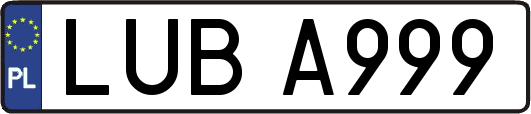 LUBA999