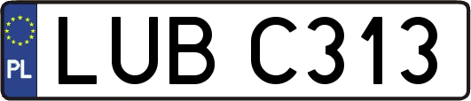 LUBC313