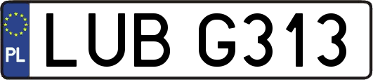 LUBG313