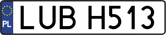 LUBH513
