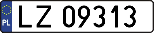 LZ09313