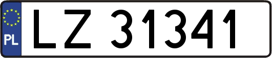 LZ31341